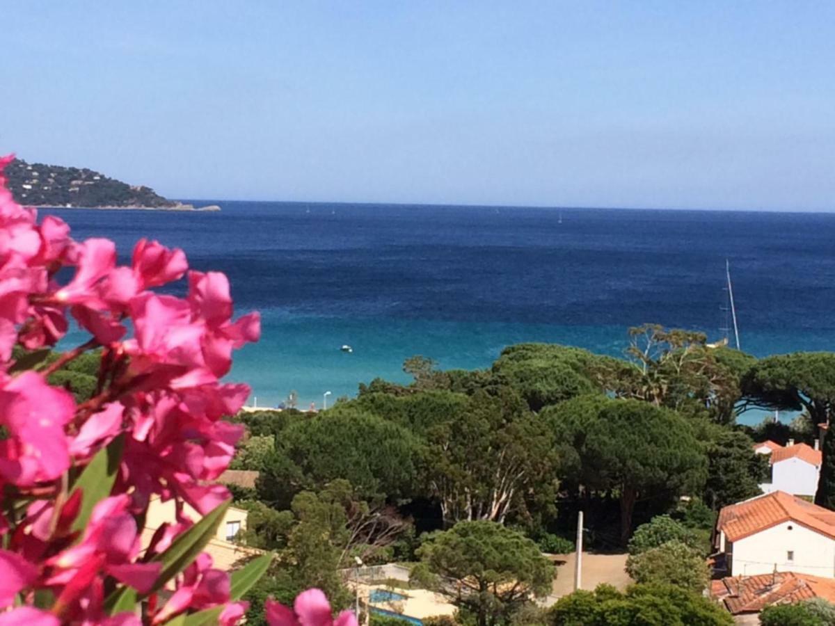 Appartement Altair Le Lavandou Exterior photo