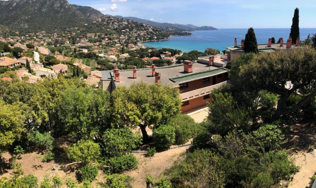 Appartement Altair Le Lavandou Exterior photo